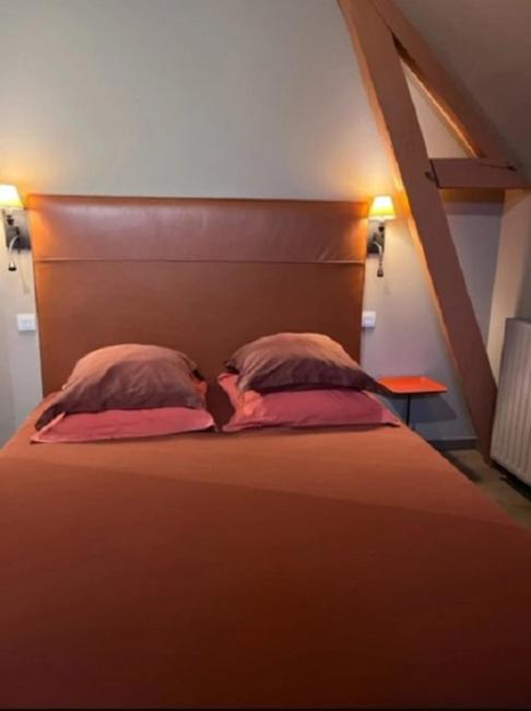 Craon  La Demeure De L'Ile Bed & Breakfast エクステリア 写真